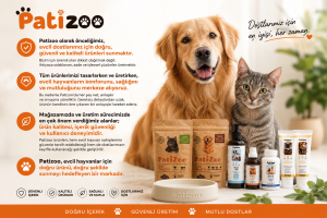 Hakkımızda | Patizoo